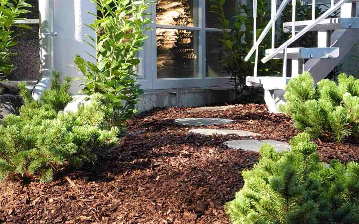 benefits-of-mulching-garden-ftr (1)