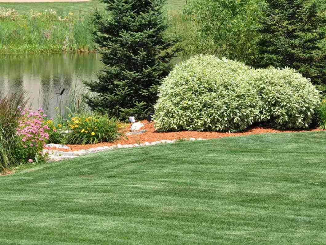 bigstock-Backyard-Landscaping-9601373 (1)