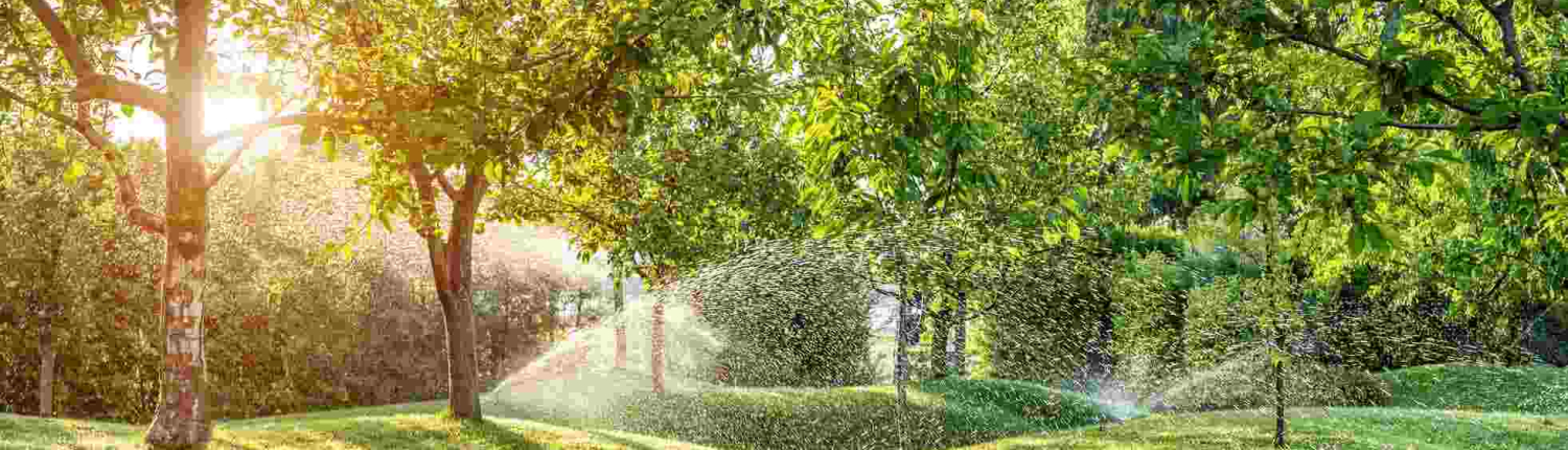 sprinkler-irrigation (1)