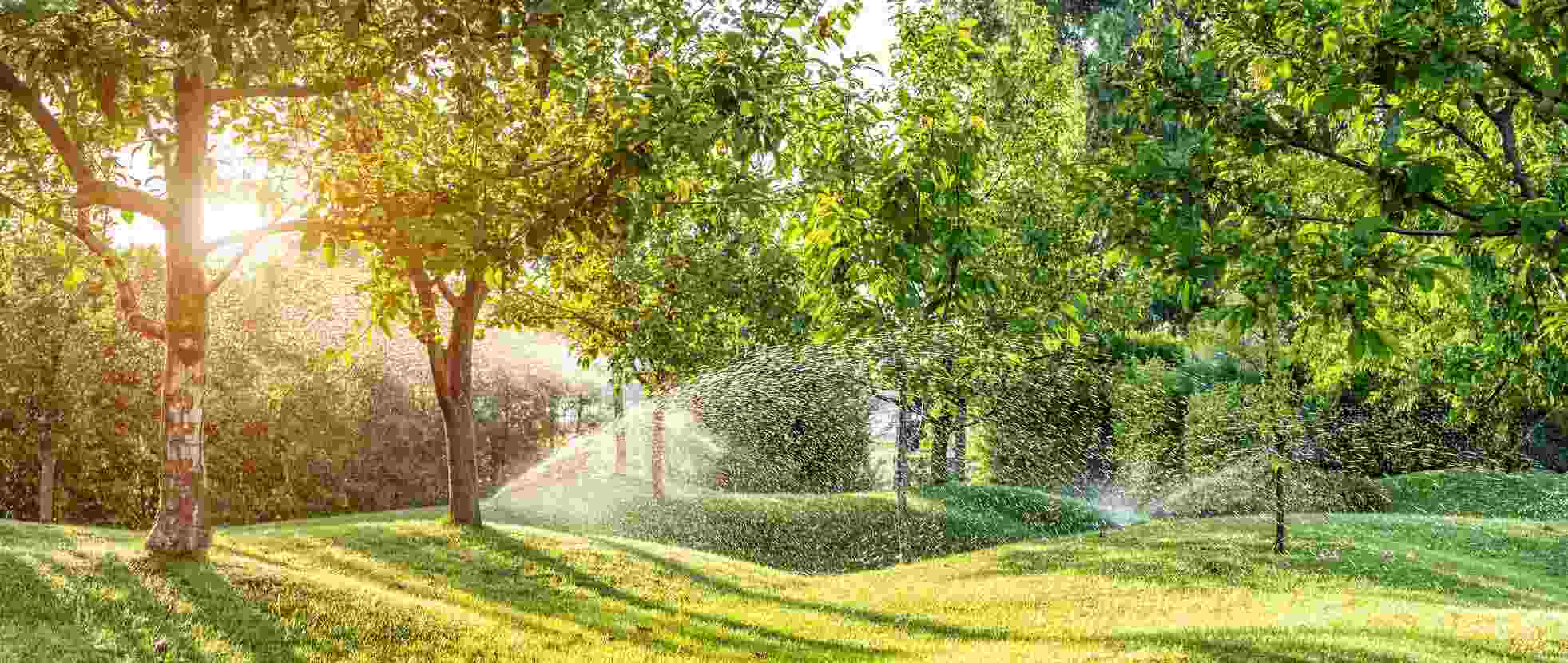 sprinkler-irrigation (1)