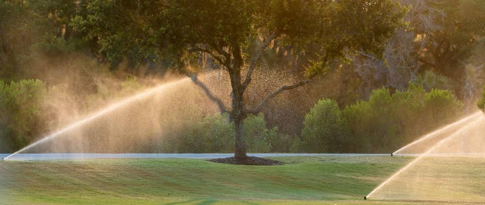 sprinkler heads