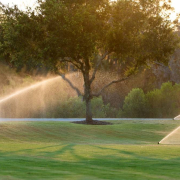 sprinkler heads