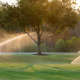 sprinkler heads