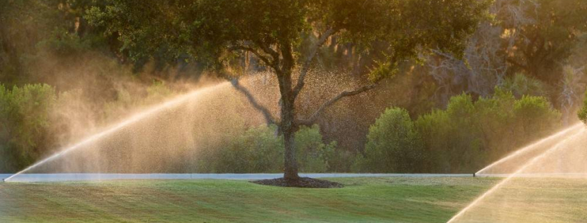 sprinkler heads