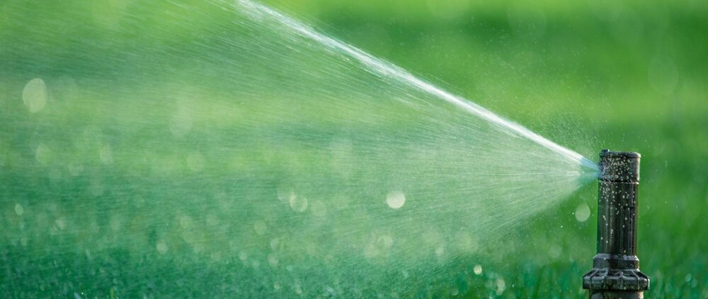 best time to water lawn Austin
