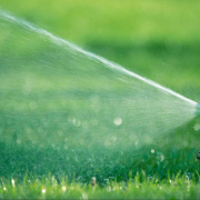 best time to water lawn Austin