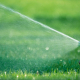 best time to water lawn Austin