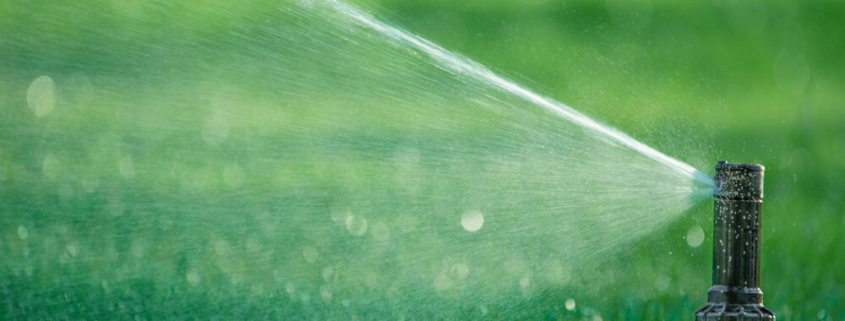 best time to water lawn Austin