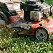 mowing height watering needs Austin