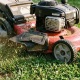 mowing height watering needs Austin