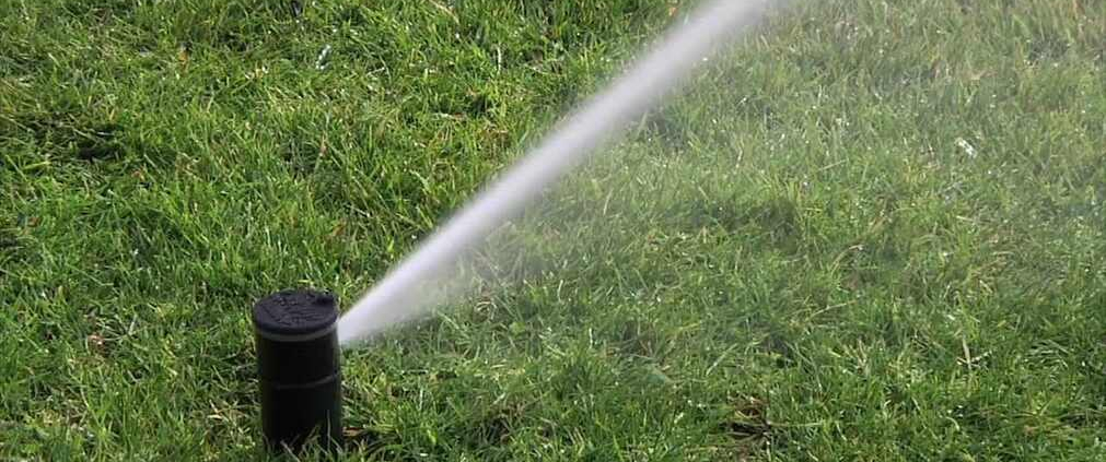 rotary vs spray sprinkler heads