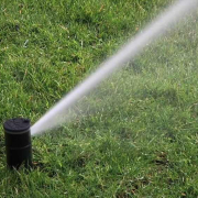 rotary vs spray sprinkler heads