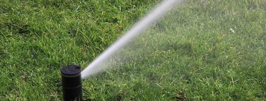 rotary vs spray sprinkler heads
