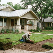 watering new sod Austin