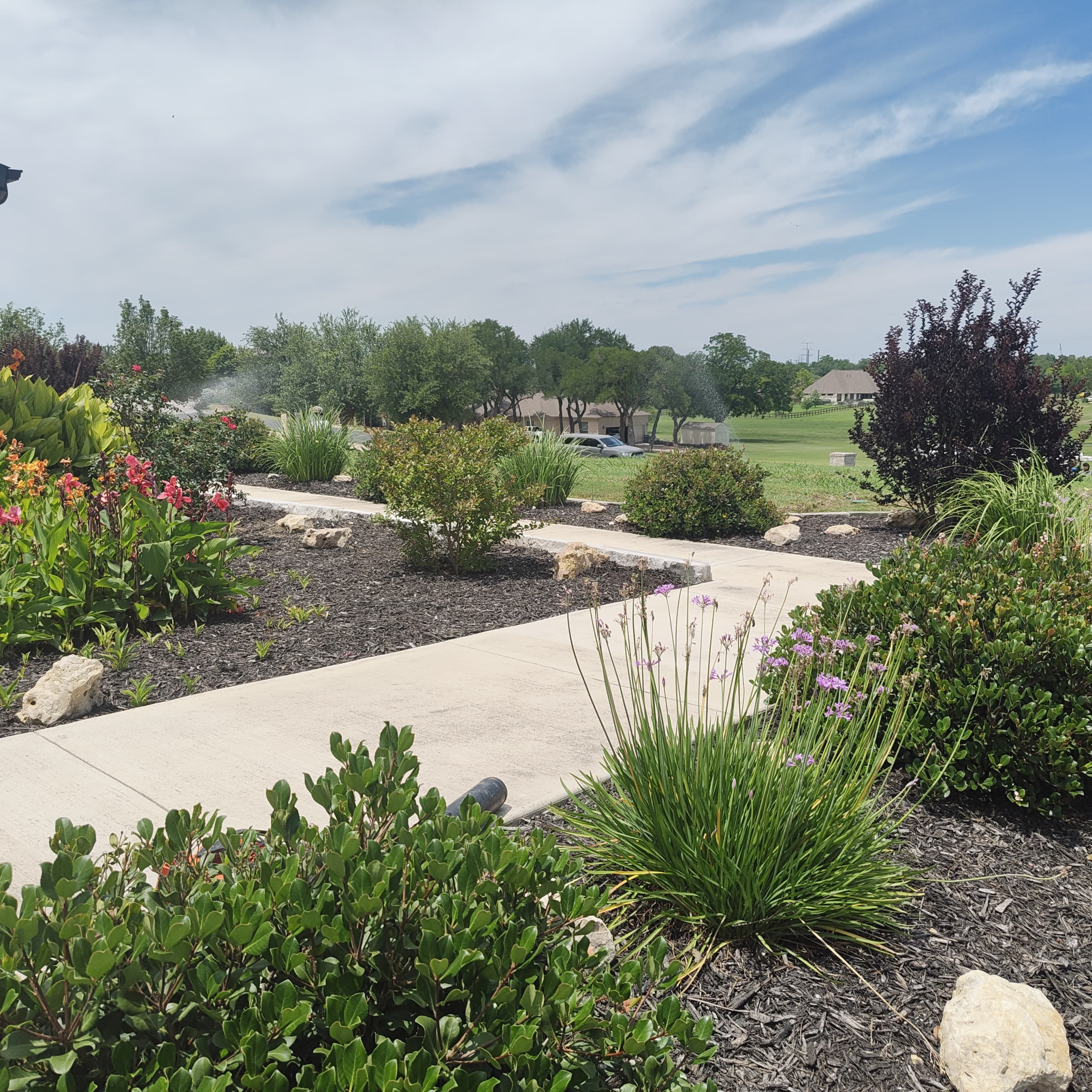 complete landscaping installation in Austin by Sprinkler & Landscaping Medics