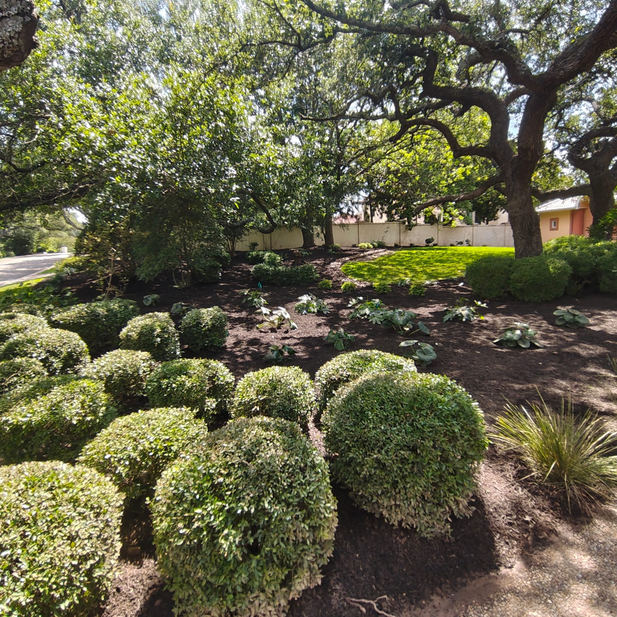 landscaping harmonizing by spinkler & landscaping medics of austin