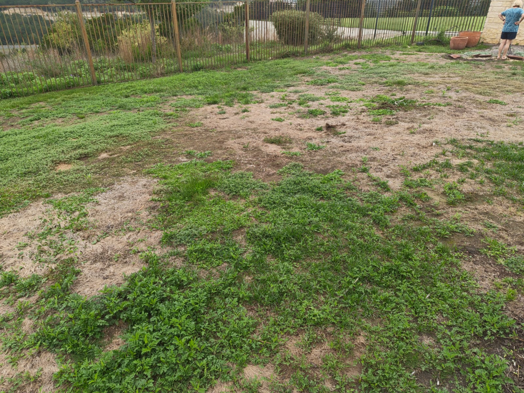 sprinkler & landscaping medics landscaping contractors austin