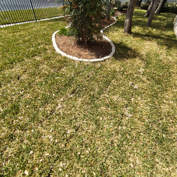 IMG 20260327 WA0023