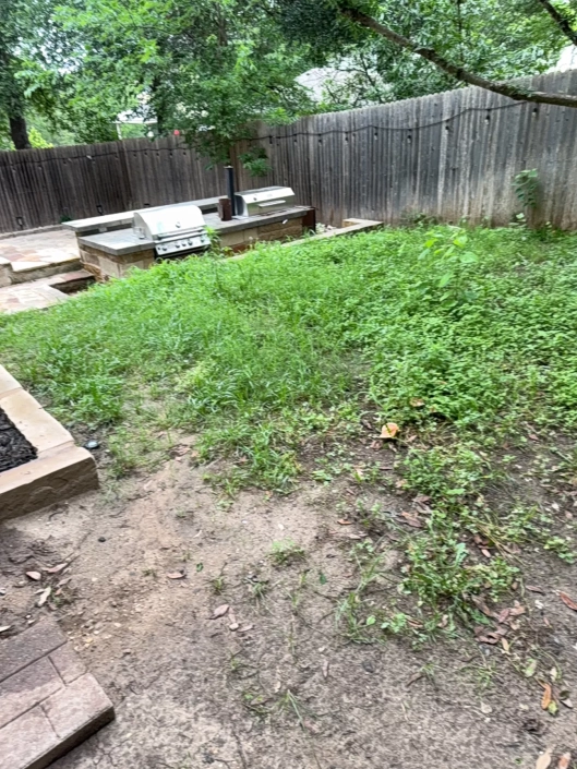 photo 1777560044941 6ac6559553704