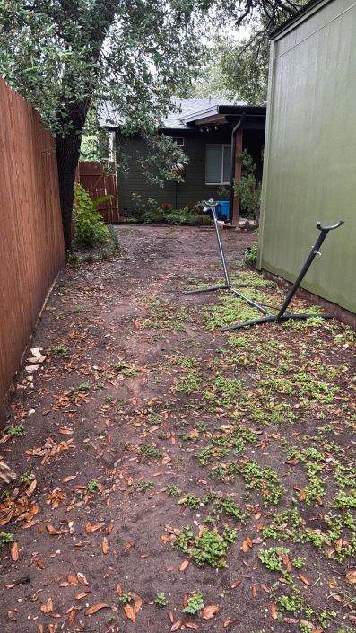 photo 1784212378857 6ab4ff029e389